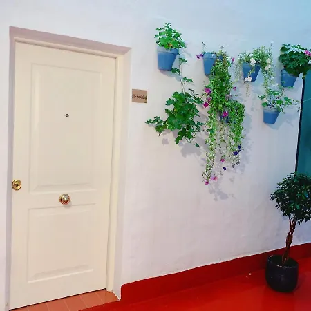 Up Qurtuba Lägenhet *