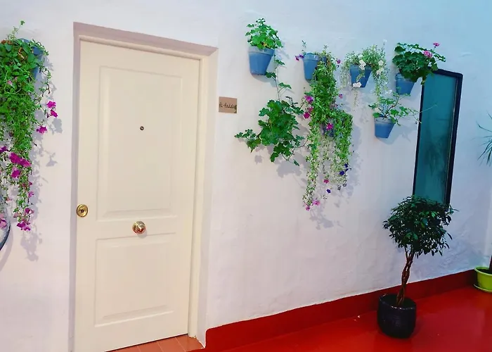 Up Qurtuba Apartman *